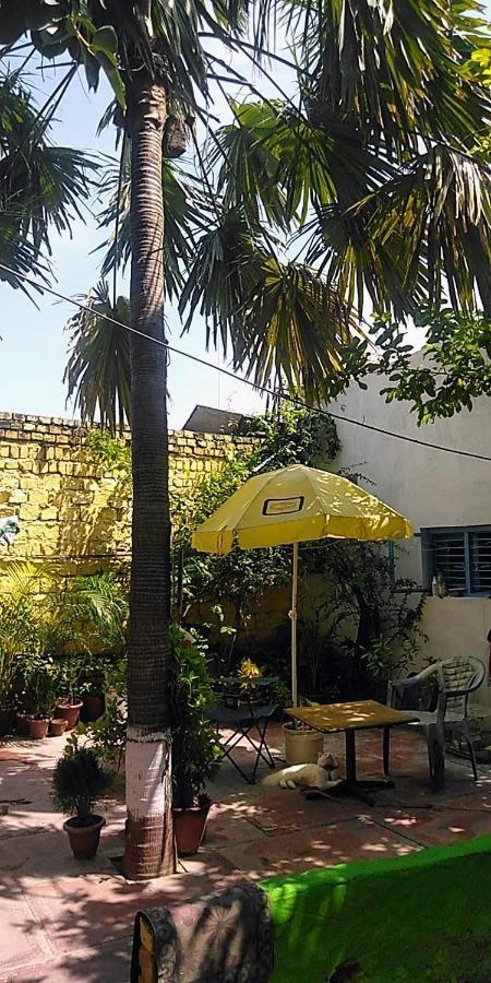 Zigzag Homestay Agra  Exteriör bild