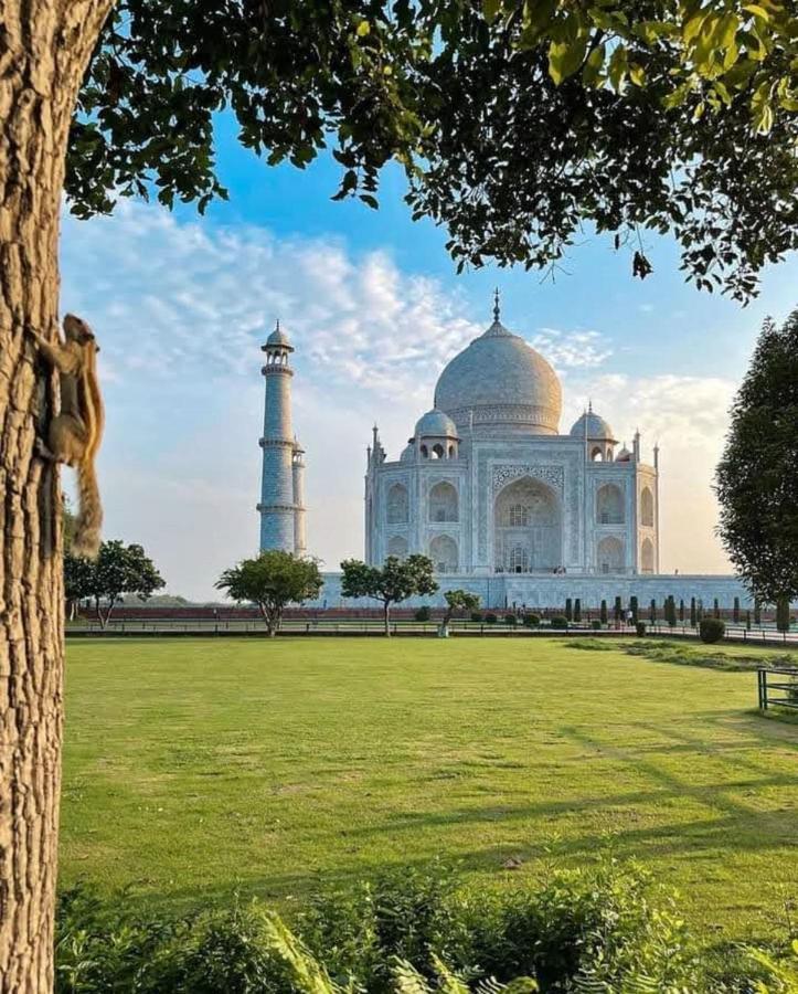 Zigzag Homestay Agra  Exteriör bild